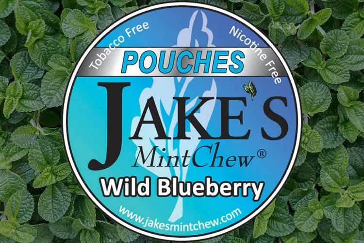Jake's Wild Blueberry Zero Pouches