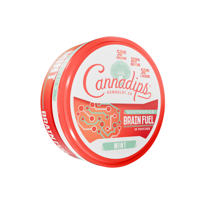Cannadips Mint Energy Pouches