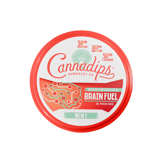 Cannadips Mint Energy Pouches