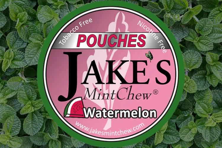 Jake's Watermelon Zero Pouches