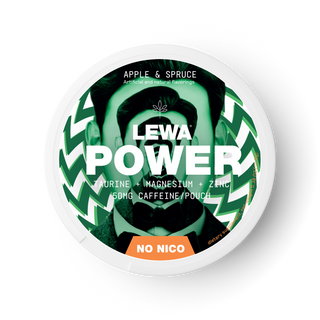 Lewa Apple & spruce Energy Pouches
