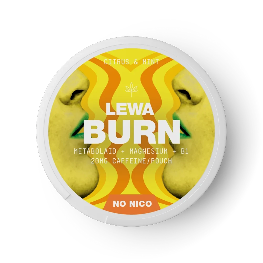 LEWA BURN Citrus & Mint