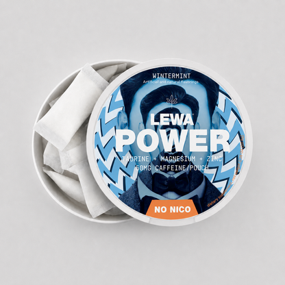 Lewa Sprearmint Energy Pouches