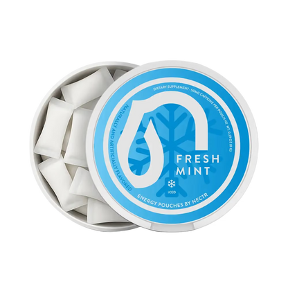 Nectr Fresh Mint Energy Pouches