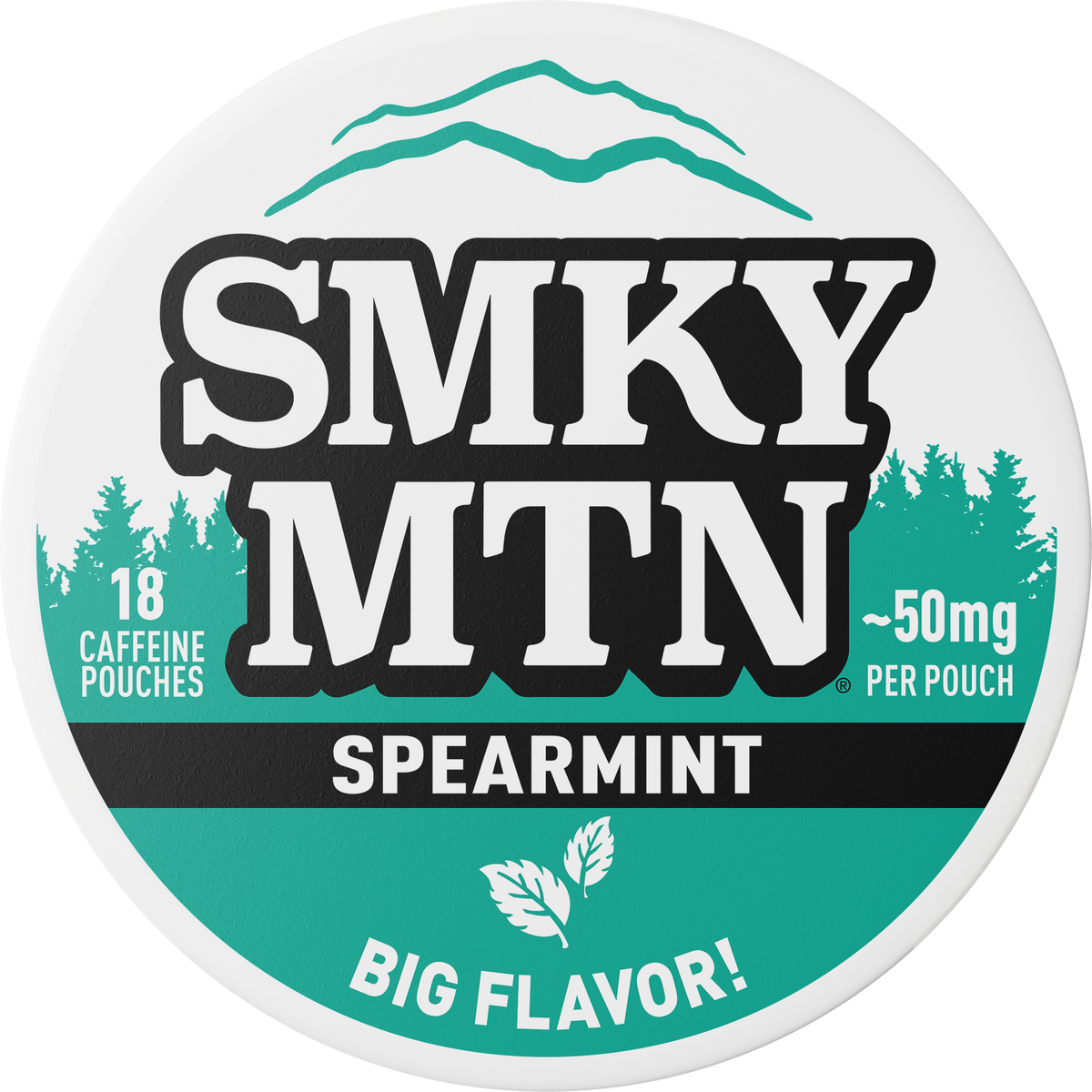 Smokey Mountain Spearmint Energy Pouches