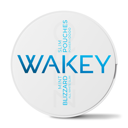 Wakey Blizzard Mint Zero Pouches