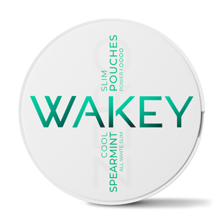 Wakey Cool Spearmint Zero Pouches
