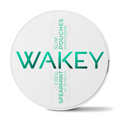 Wakey Cool Spearmint Zero Pouches