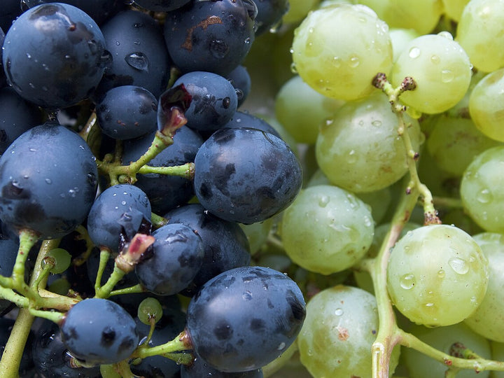 Grape flavor